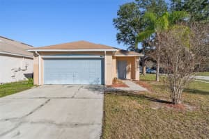 11022 Connacht Way, TAMPA 11022 Connacht Way, TAMPA