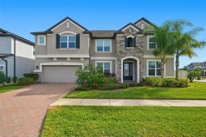 11002 SUNDRIFT DRIVE, TAMPA, FL 33647 - MLS#MFRTB8467722