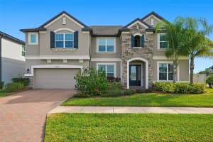 11002 SUNDRIFT DRIVE, TAMPA, FL 33647 - MLS#MFRTB8467722