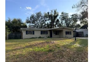 513 WHITE OAK AVENUE, BRANDON, FL 33510 - MLS#MFRTB8467726
