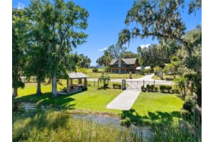 11401 THONOTOSASSA ROAD, THONOTOSASSA, FL 33592 - MLS#MFRTB8467742