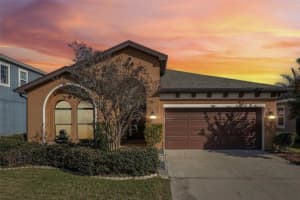 32451 Natural Bridge Rd, WESLEY CHAPEL