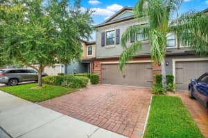 17358 OLD TOBACCO ROAD, LUTZ, FL 33558 - MLS#MFRTB8467840