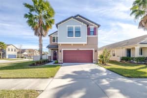 8132 Seagarden Ln, LAND O LAKES