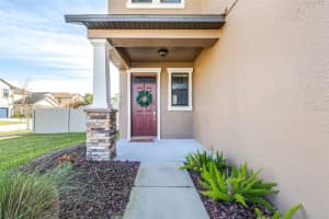 8132 SEAGARDEN LANE, LAND O LAKES, FL 34637 - MLS#MFRTB8467844