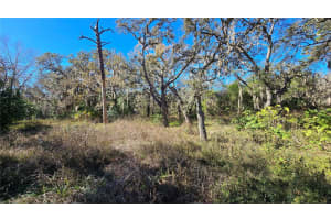 15609 BECKY LANE, HUDSON, FL 34667 - MLS#MFRTB8467868