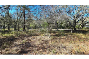 15609 BECKY LANE, HUDSON, FL 34667 - MLS#MFRTB8467868