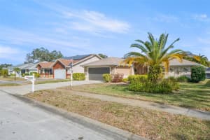 1563 WICKLOW DRIVE, PALM HARBOR, FL 34684 - MLS#MFRTB8467874