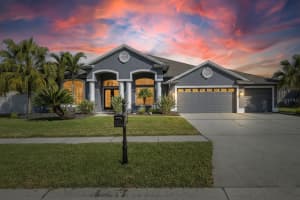 10114 Kingshyre Way, TAMPA