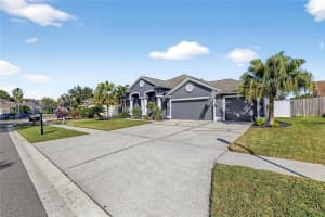 10114 KINGSHYRE WAY, TAMPA, FL 33647 - MLS#MFRTB8467892