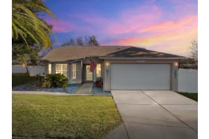 10616 BUCKS RUN, NEW PORT RICHEY, FL 34654 - MLS#MFRTB8467938