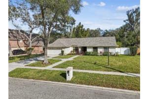 11507 Moffat Pl, TEMPLE TERRACE 11507 Moffat Pl, TEMPLE TERRACE