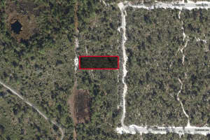 5717 DELICIOUS ROAD, SEBRING, FL 33875 - MLS#MFRTB8468006