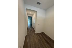 17272 BIGLEAF MAHOGANY LANE, LAND O LAKES, FL 34638 - MLS#MFRTB8468016