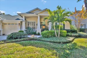2226 CLIMBING IVY DRIVE, TAMPA, FL 33618 - MLS#MFRTB8468032