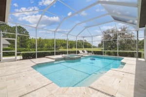 9105 WOODRIDGE RUN DRIVE, TAMPA, FL 33647 - MLS#MFRTB8468043