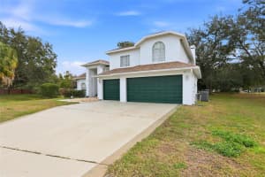 10402 ASHLEY OAKS DRIVE, RIVERVIEW, FL 33578 - MLS#MFRTB8468059