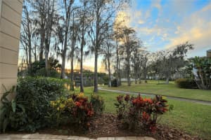 10374 CARROLLWOOD LANE, TAMPA, FL 33618 - MLS#MFRTB8468084