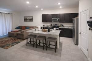 33066 TULIP PETAL LANE, WESLEY CHAPEL, FL 33545 - MLS#MFRTB8468092