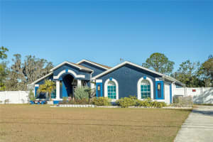 31439 STIRRUP LANE, WESLEY CHAPEL, FL 33543 - MLS#MFRTB8468095