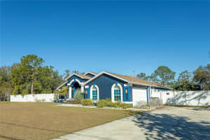 31439 STIRRUP LANE, WESLEY CHAPEL, FL 33543 - MLS#MFRTB8468095