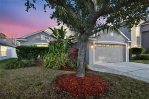 11434 Cypress Reserve Dr, TAMPA