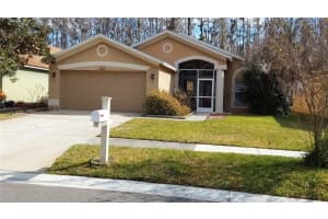 30904 Burleigh Dr, WESLEY CHAPEL
