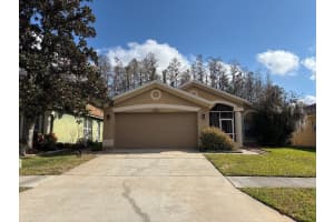 30904 BURLEIGH DRIVE, WESLEY CHAPEL, FL 33543 - MLS#MFRTB8468112