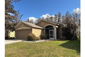 30904 BURLEIGH DRIVE, WESLEY CHAPEL, FL 33543 - MLS#MFRTB8468112