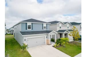 12288 CYPRESS BRANCH STREET, RIVERVIEW, FL 33579 - MLS#MFRTB8468117