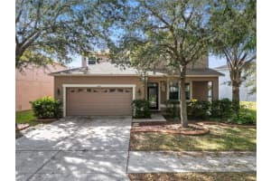 10615 LUCAYA DRIVE, TAMPA, FL 33647 - MLS#MFRTB8468120