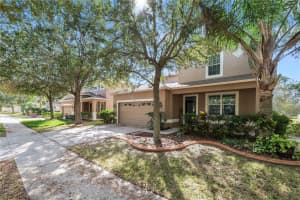 10615 LUCAYA DRIVE, TAMPA, FL 33647 - MLS#MFRTB8468120
