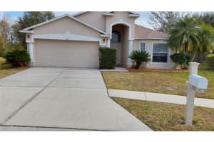 1932 Grenville Ct, WESLEY CHAPEL