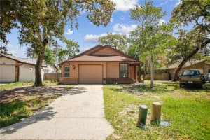 787 Arthurs Ct, TARPON SPRINGS