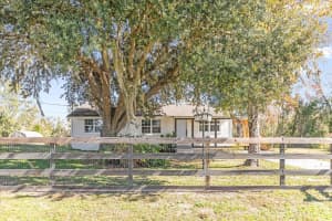 3628 FOXWOOD BOULEVARD, WESLEY CHAPEL, FL 33543 - MLS#MFRTB8468185