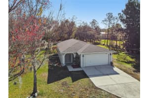 4508 REDCOAT DRIVE, WESLEY CHAPEL, FL 33543 - MLS#MFRTB8468201