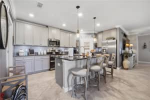 10320 ECHO DOCK LOOP, SAN ANTONIO, FL 33576 - MLS#MFRTB8468204