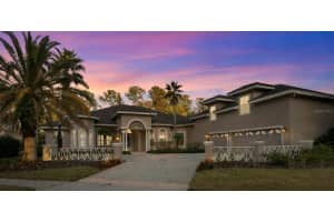 6441 Renwick Cir, TAMPA
