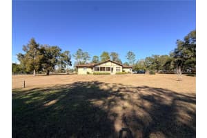 35324 BLANTON ROAD, DADE CITY, FL 33523 - MLS#MFRTB8468240