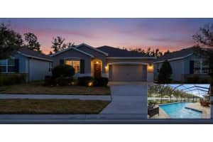 13766 Hunting Creek Pl, SPRING HILL