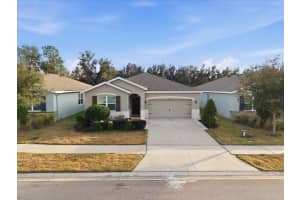 13766 HUNTING CREEK PLACE, SPRING HILL, FL 34609 - MLS#MFRTB8468258
