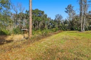 HIGGINSON RD, ZEPHYRHILLS, FL 33540 - MLS#MFRTB8468267