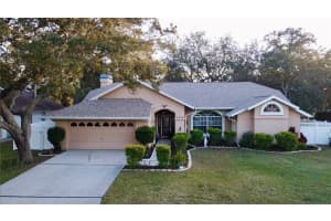 7340 Flyway Dr, SPRING HILL