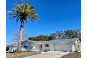 10120 WILLOW DRIVE, PORT RICHEY, FL 34668 - MLS#MFRTB8468278