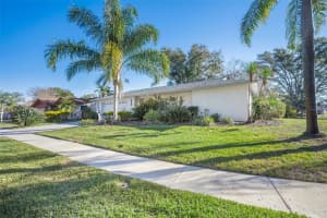 1137 LANYARD STREET, PALM HARBOR, FL 34685 - MLS#MFRTB8468290