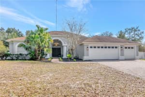 14229 Creek Run Dr, RIVERVIEW 14229 Creek Run Dr, RIVERVIEW