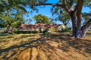 2207 Parkwood Dr, VALRICO