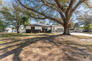 4227 BLOSSOM ROAD, VENICE, FL 34293 - MLS#MFRTB8468322