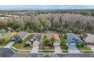 31656 MARCHESTER DRIVE, WESLEY CHAPEL, FL 33543 - MLS#MFRTB8468347
