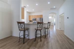 31656 MARCHESTER DRIVE, WESLEY CHAPEL, FL 33543 - MLS#MFRTB8468347